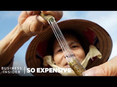 Why Lotus Silk Is So Expensive