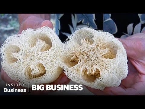 How 200,000 Luffas Become Kitchen Sponges