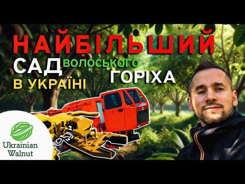 Найбільший сад волоського горіха в Україні