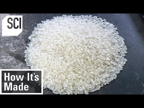 Rice